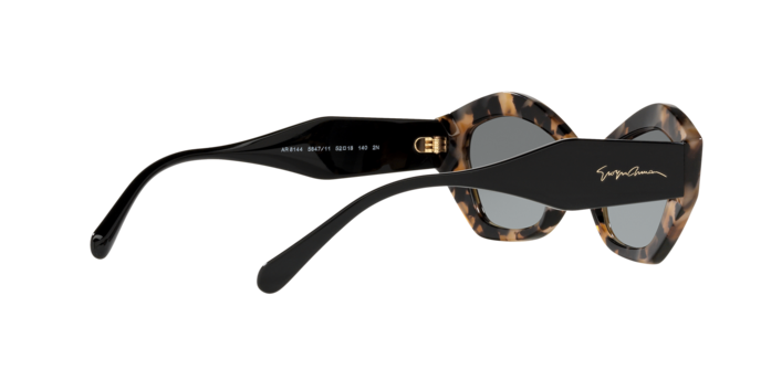 Giorgio Armani Sunglasses AR8144 584711
