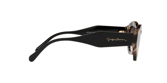Giorgio Armani Sunglasses AR8144 584711