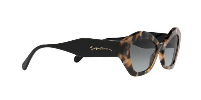 Giorgio Armani Sunglasses AR8144 584711