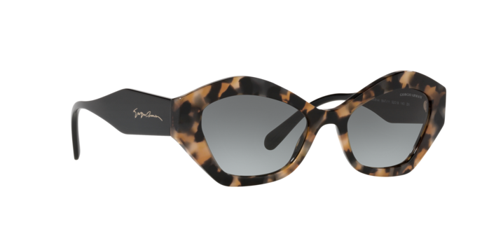 Giorgio Armani Sunglasses AR8144 584711