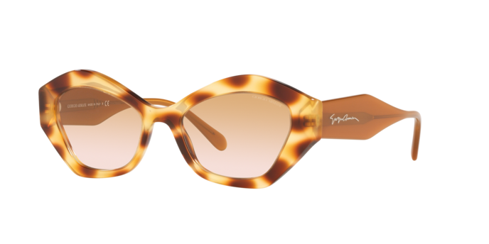 Giorgio Armani Sunglasses AR8144 588013