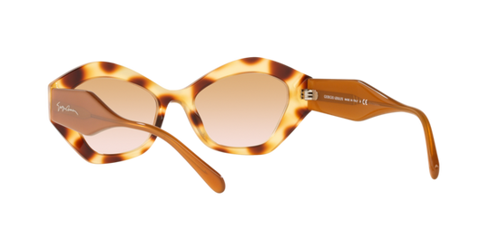 Giorgio Armani Sunglasses AR8144 588013