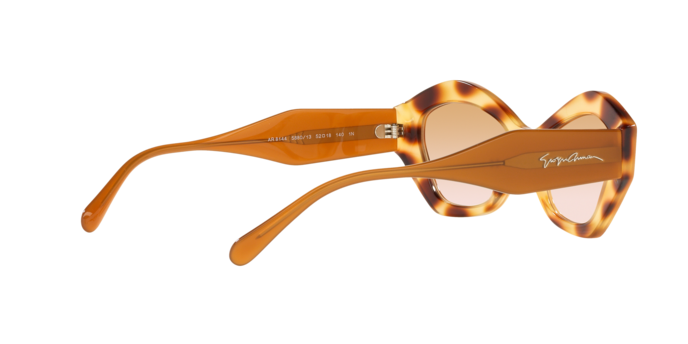 Giorgio Armani Sunglasses AR8144 588013