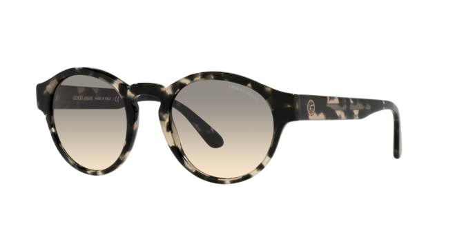 Giorgio Armani Sunglasses AR8146 587332