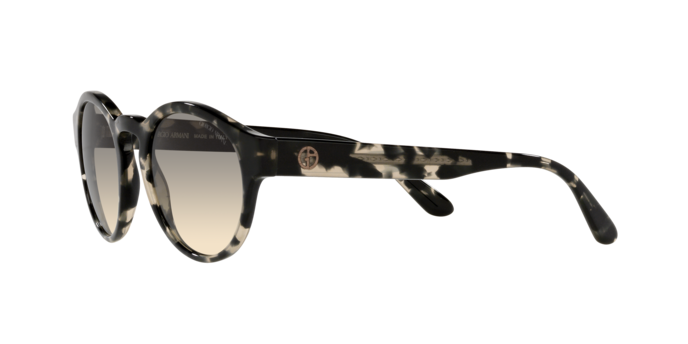 Giorgio Armani Sunglasses AR8146 587332