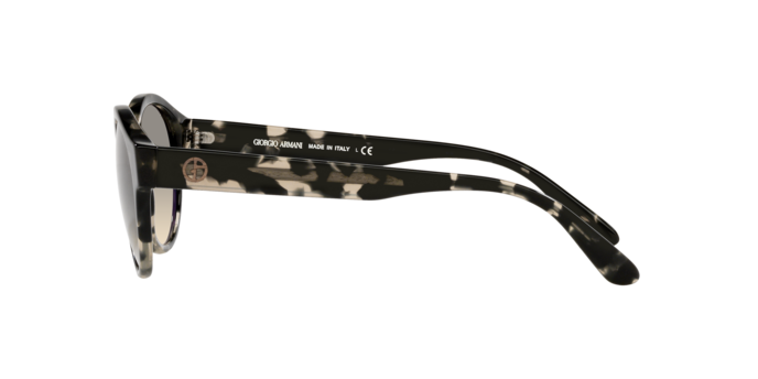 Giorgio Armani Sunglasses AR8146 587332