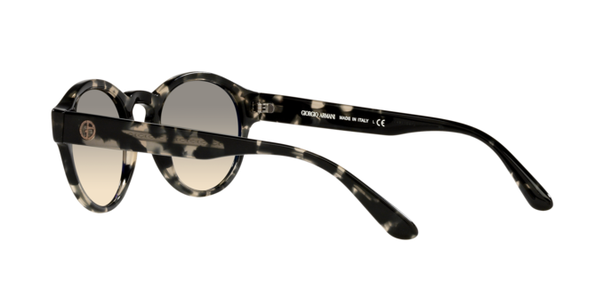 Giorgio Armani Sunglasses AR8146 587332