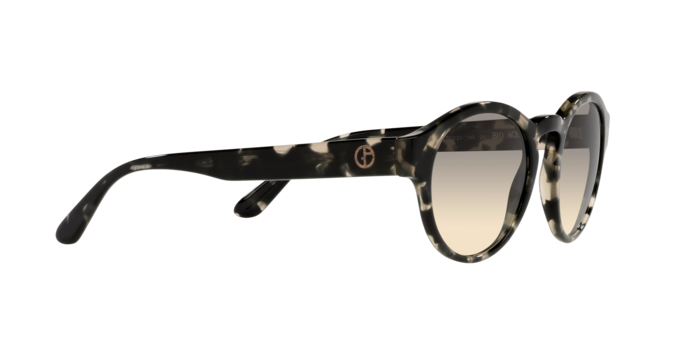 Giorgio Armani Sunglasses AR8146 587332