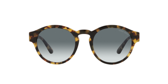 Giorgio Armani Sunglasses AR8146 587486