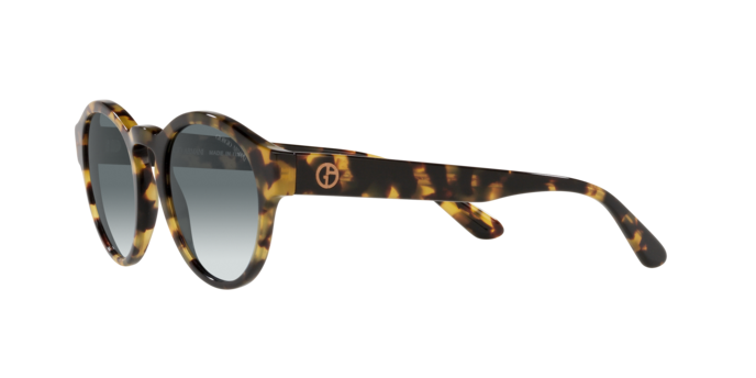 Giorgio Armani Sunglasses AR8146 587486