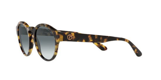 Giorgio Armani Sunglasses AR8146 587486