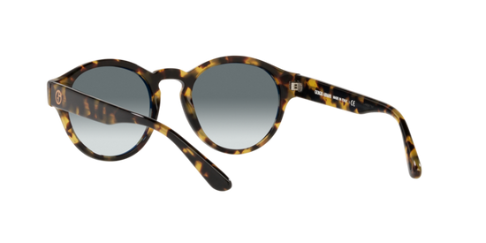 Giorgio Armani Sunglasses AR8146 587486