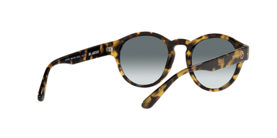 Giorgio Armani Sunglasses AR8146 587486