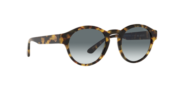 Giorgio Armani Sunglasses AR8146 587486