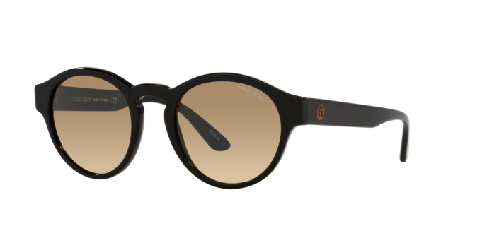 Giorgio Armani Sunglasses AR8146 5875Q4