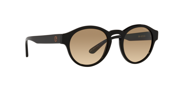 Giorgio Armani Sunglasses AR8146 5875Q4