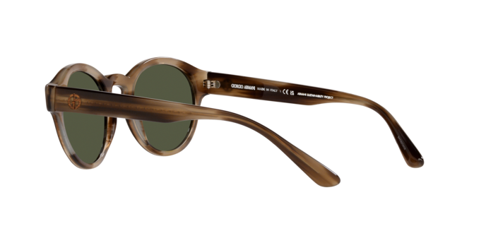 Giorgio Armani Sunglasses AR8146 590058