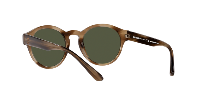 Giorgio Armani Sunglasses AR8146 590058