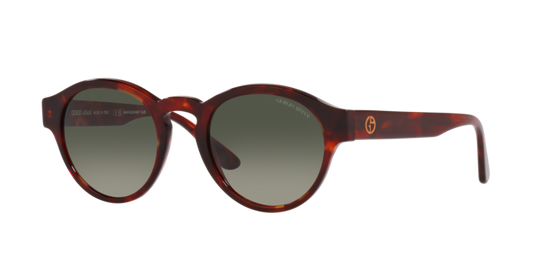 Giorgio Armani Sunglasses AR8146 596271