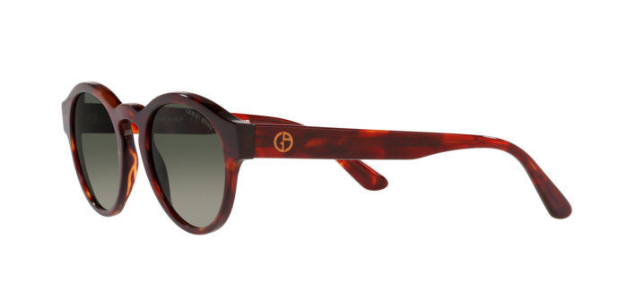 Giorgio Armani Sunglasses AR8146 596271