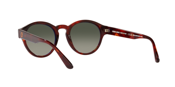 Giorgio Armani Sunglasses AR8146 596271