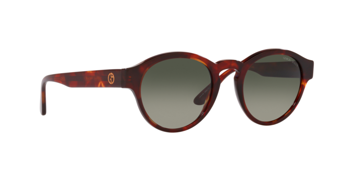 Giorgio Armani Sunglasses AR8146 596271