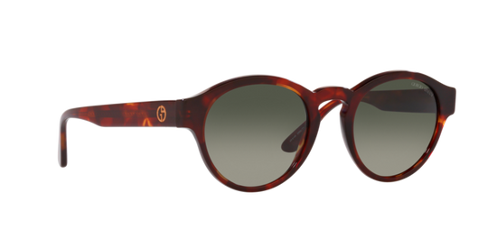 Giorgio Armani Sunglasses AR8146 596271