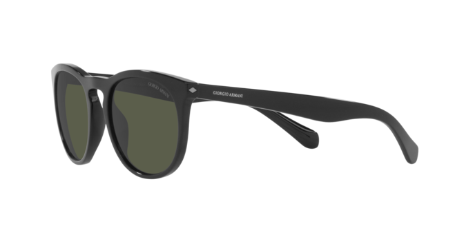 Giorgio Armani Sunglasses AR8149 587531