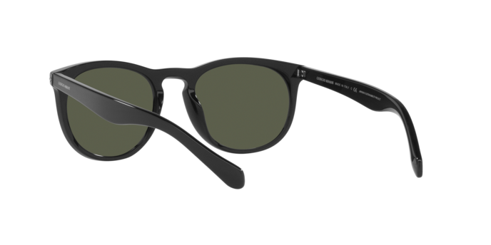 Giorgio Armani Sunglasses AR8149 587531