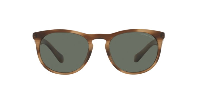 Giorgio Armani Sunglasses AR8149 590058