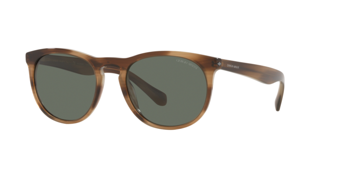 Giorgio Armani Sunglasses AR8149 590058