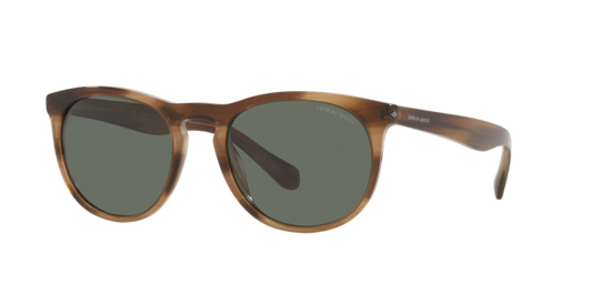 Giorgio Armani Sunglasses AR8149 590058