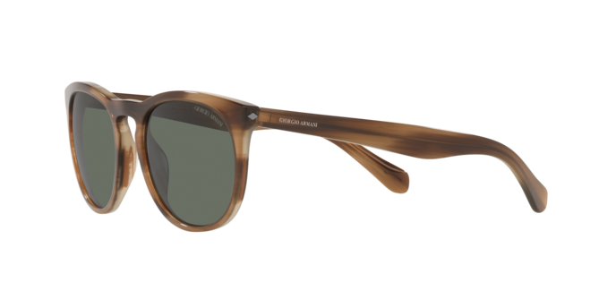 Giorgio Armani Sunglasses AR8149 590058