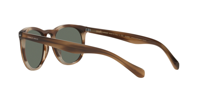 Giorgio Armani Sunglasses AR8149 590058