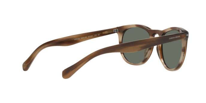 Giorgio Armani Sunglasses AR8149 590058