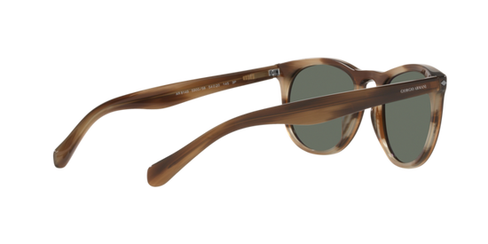 Giorgio Armani Sunglasses AR8149 590058