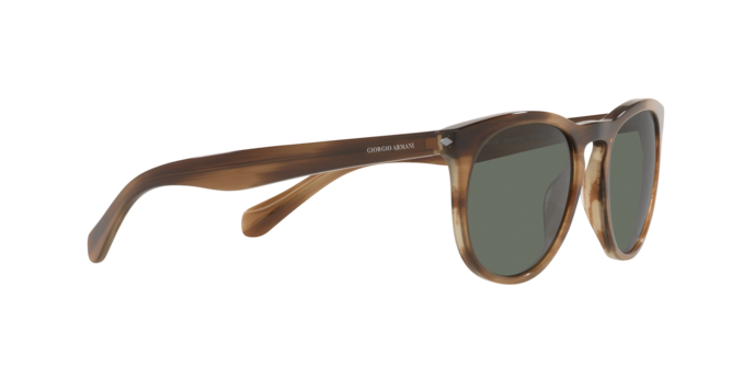 Giorgio Armani Sunglasses AR8149 590058