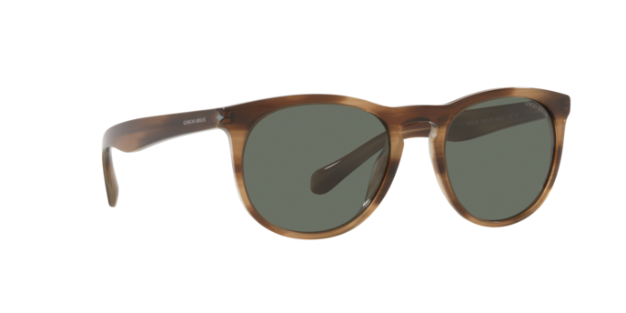 Giorgio Armani Sunglasses AR8149 590058