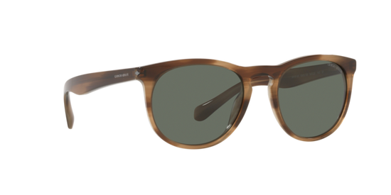 Giorgio Armani Sunglasses AR8149 590058