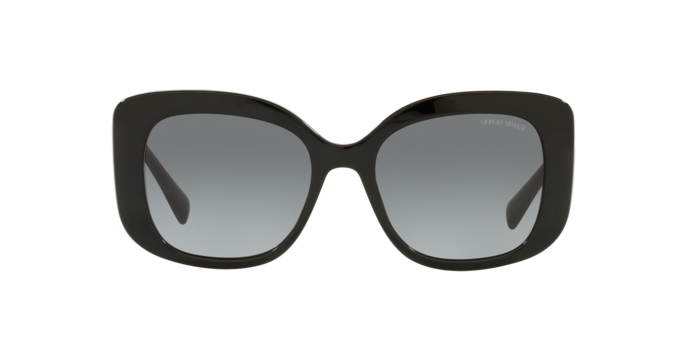 Giorgio Armani Sunglasses AR8150 500111