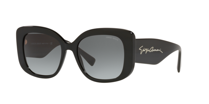 Giorgio Armani Sunglasses AR8150 500111