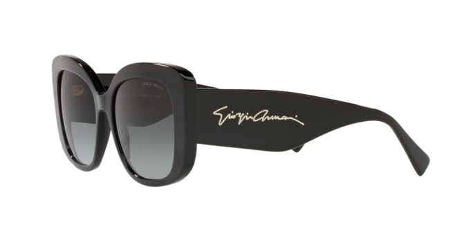 Giorgio Armani Sunglasses AR8150 500111