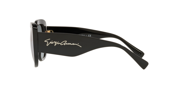 Giorgio Armani Sunglasses AR8150 500111