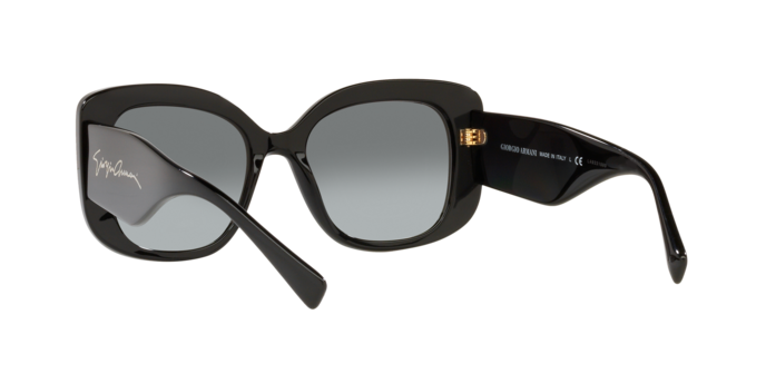Giorgio Armani Sunglasses AR8150 500111