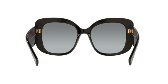 Giorgio Armani Sunglasses AR8150 500111