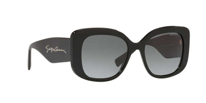Giorgio Armani Sunglasses AR8150 500111