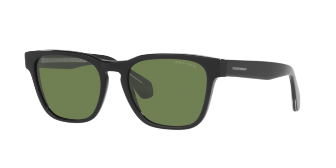 Giorgio Armani Sunglasses AR8155 58754E