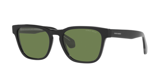 Giorgio Armani Sunglasses AR8155 58754E