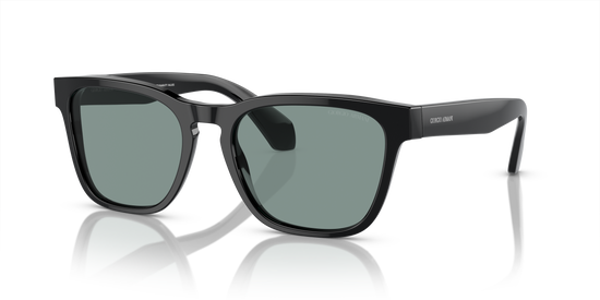 Giorgio Armani Sunglasses AR8155 587556