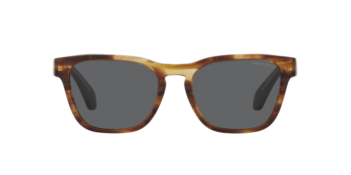Giorgio Armani Sunglasses AR8155 5941B1